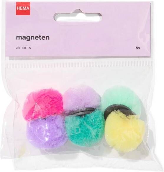 HEMA Magneten Pompon 6 Stuks