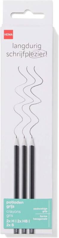 HEMA Potloden 6 Stuks