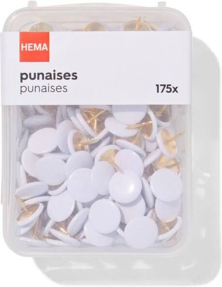 HEMA Punaises 175 Stuks
