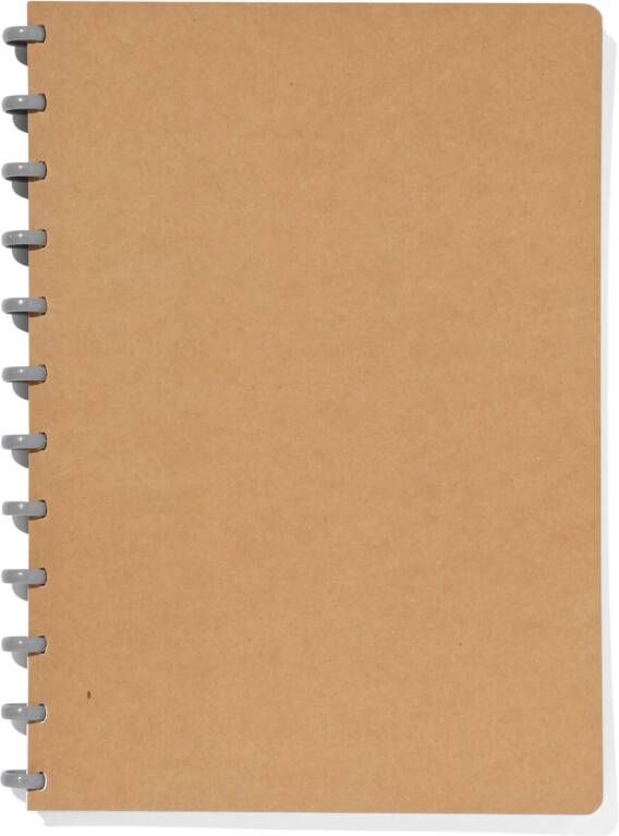 HEMA Ringschrift A4 Commerciaal Geruit 4x8mm Kraft