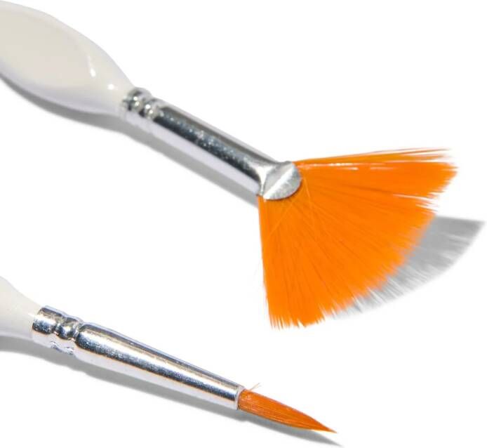HEMA Schilderpenselen Met Diverse Punt 5 Stuks