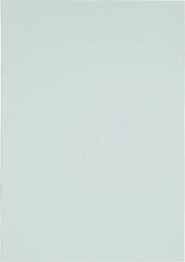 HEMA Schriften A4 Gelinieerd Mint 5 Stuks