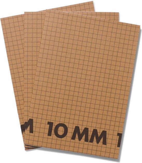 HEMA Schriften A4 Geruit 10 Mm 3 Stuks