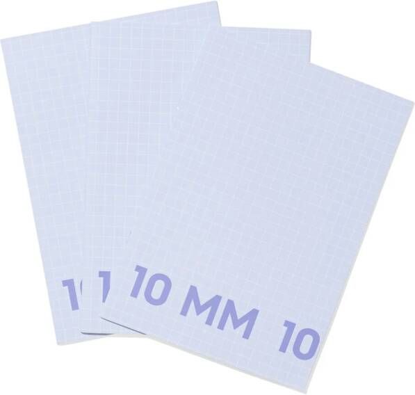 HEMA Schriften A4 Geruit 10mm Blauw 3 Stuks