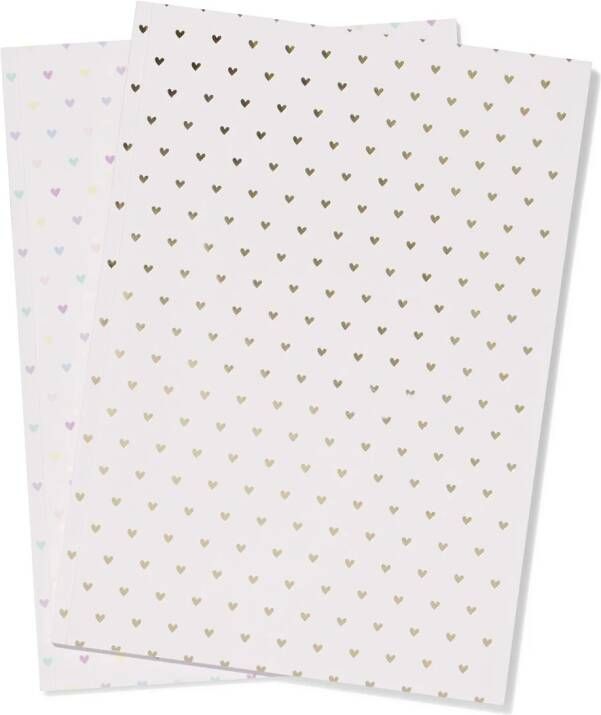 HEMA Schriften A4 Lijnen 2 Stuks