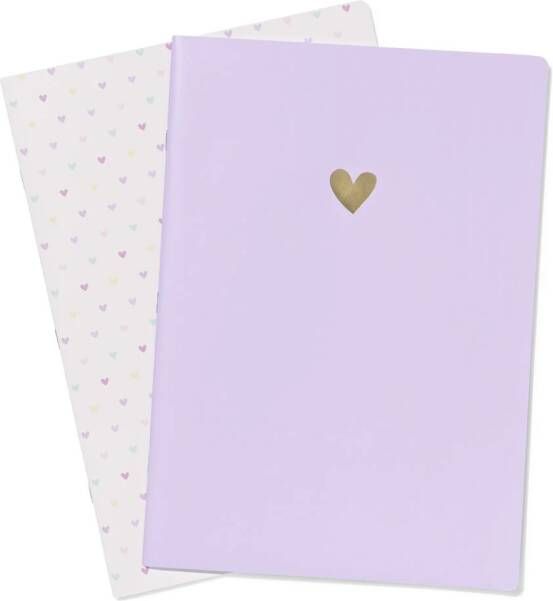 HEMA Schriften A4 Ruiten 10x10mm Hartjes 2 Stuks
