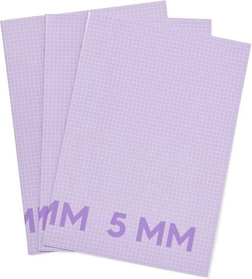 HEMA Schriften Lila A4 Geruit 5mm 3 Stuks