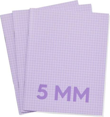 HEMA Schriften Lila A5 Geruit 5mm 3 Stuks