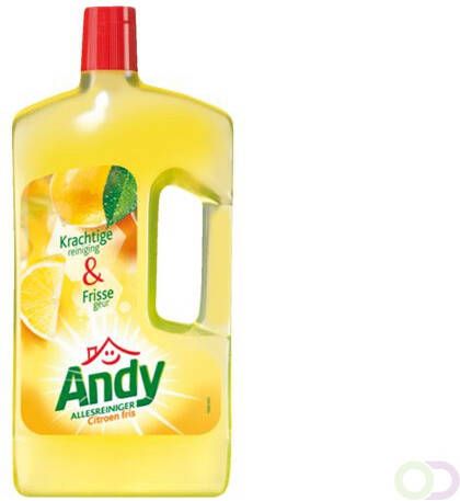 Andy Allesreiniger citroen fris 1 liter