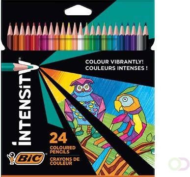 Bic kleurpotlood Color Up etui van 24 stuks