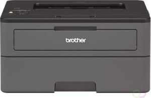 Brother compacte zwart wit laserprinter HL L2370DN