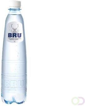Bru lichtsprankelend water fles van 50 cl pak van 24 stuks