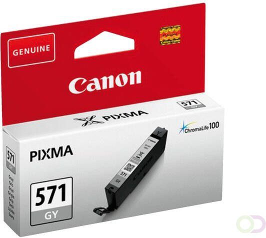 Canon 0389C001 inktcartridge 1 stuk(s) Origineel Normaal rendement Foto grijs (0389C001)