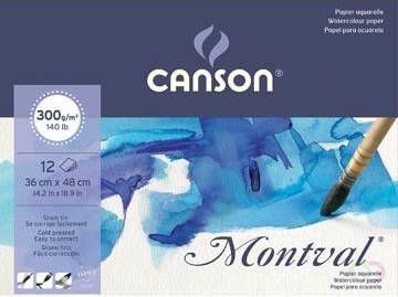 Canson Montval aquarelpapier wit met fijne korrel 300 g mÂ² ft 36 x 48 cm blok met 12 vellen