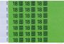 Combicraft Polsbandje 18+ don t drink and drive groen 100 stuks - Thumbnail 1