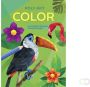 Deltas Kleurboek Poly Art Color - Thumbnail 1