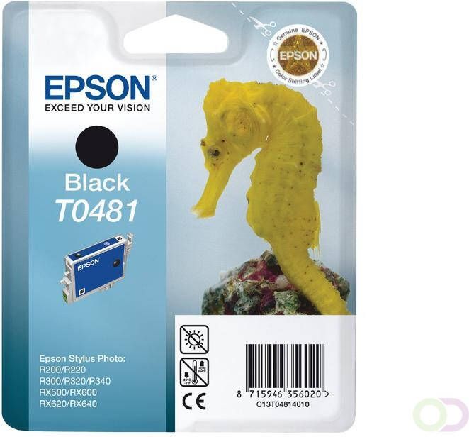 Epson Inktcartridge T0481 zwart