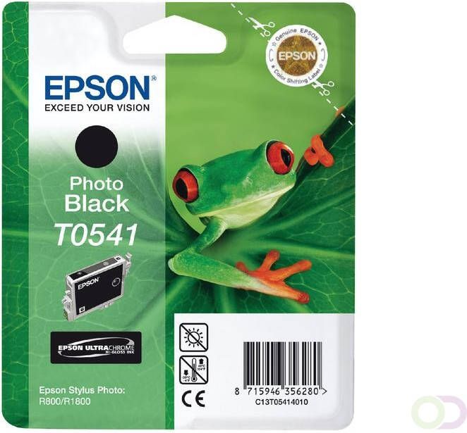 Epson Inktcartridge T0541 zwart