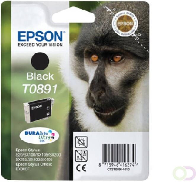 Epson Inktcartridge T0891 zwart