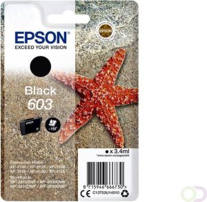 Epson Singlepack Black 603 Ink (C13T03U14010)