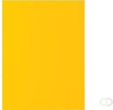 Exacompta dossiermap Rock's 80 ft 22 x 31 cm pak van 100 geel