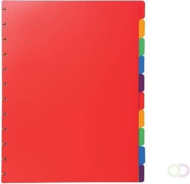 Exacompta uitneembare tabbladen voor showalbum met ringen in gekleurd PP 10 tabs