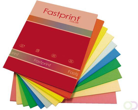 Fastprint Kopieerpapier A4 120gr 10kleuren x10vel 100vel