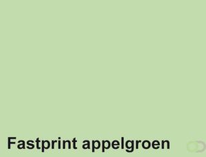 Fastprint Kopieerpapier A4 120gr appelgroen 100vel