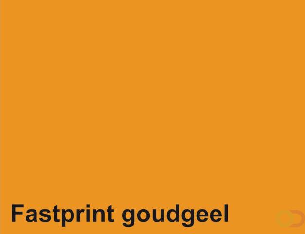 Fastprint Kopieerpapier A4 120gr goudgeel 250vel