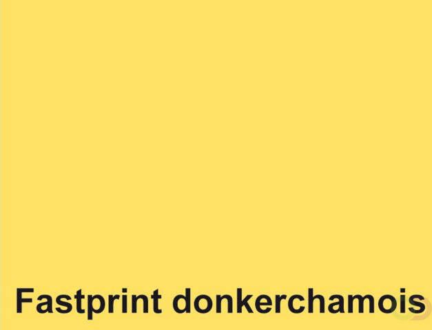 Fastprint Kopieerpapier A4 160gr donkerchamois 250vel