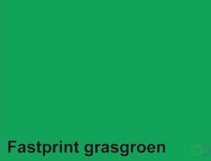 Fastprint Kopieerpapier A4 160gr grasgroen 50vel