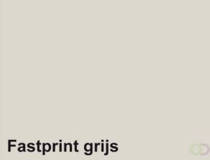 Fastprint Kopieerpapier A4 160gr grijs 250vel