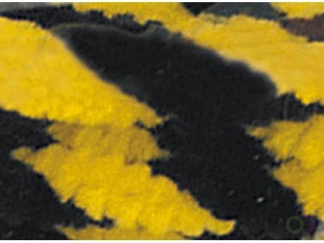 Folia chenilledraad 50cm lang 10 stuks zwart-geel gestreept
