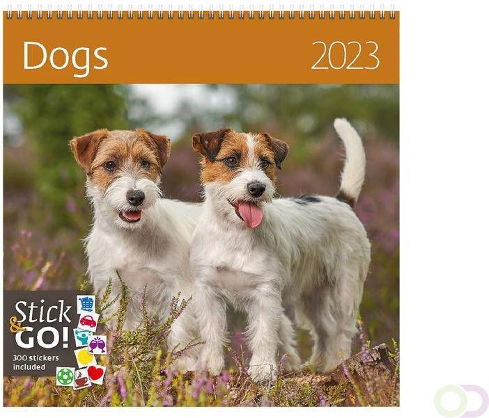 Helma 365 Kalender 2023 30x30cm Honden