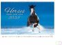 Helma 365 Kalender 2023 45x31.5cm Paarden - Thumbnail 1