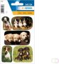 HERMA Etiket 3528 Honden en puppies - Thumbnail 1