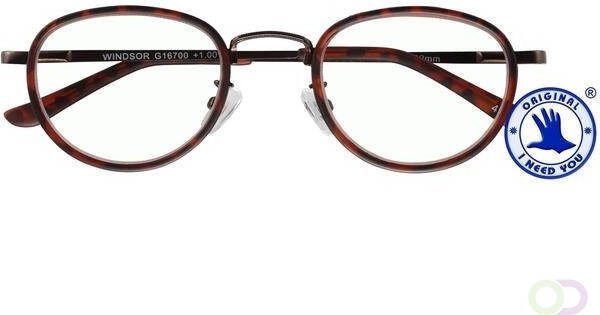 I Need You Leesbril Windsor +2.00 dpt havanna