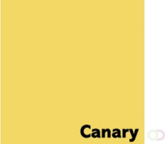 Image canary kanariegeel folio sh canary kanariegeel