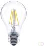 Integral Classic Globe LED lamp E27 dimbaar 2.700 K 4 2 W 470 lumen - Thumbnail 2