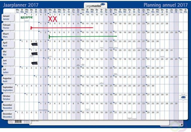 LegaMaster Jaarplanner 2025 90x60cm horizontaal gelamineerd Engelstalig