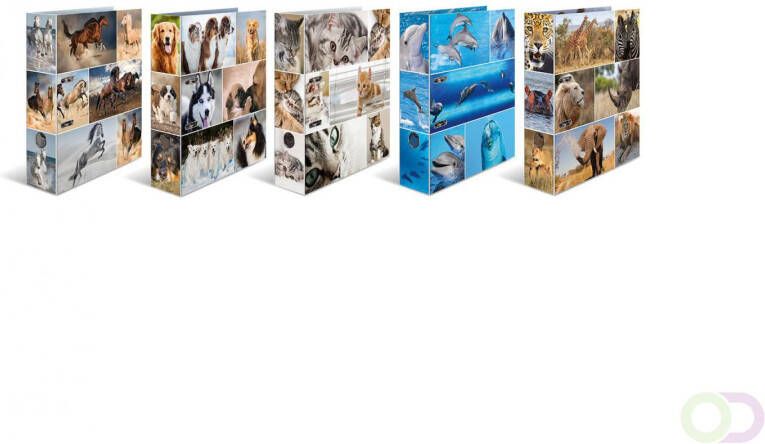 Herma Assortiment Motief ordner A4 dieren 10 stuks