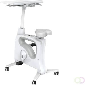 Bureaufiets Tournette Deluxe