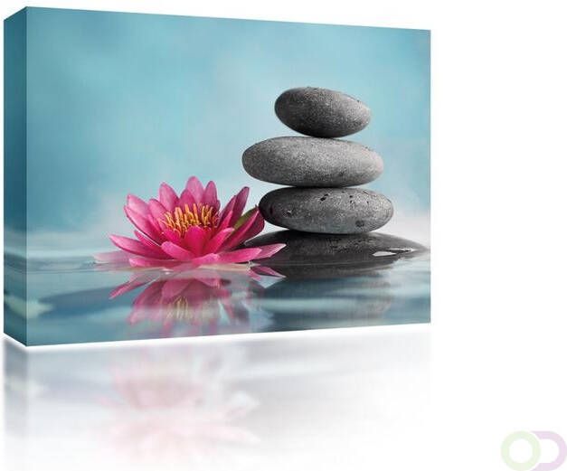 Canvas Lotus flowers and rocks