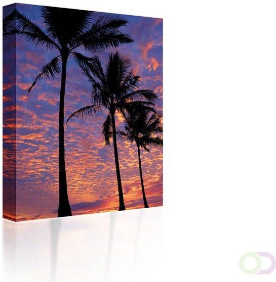 Canvas Palm trees at sunset