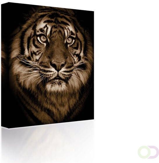 Canvas Tiger's face