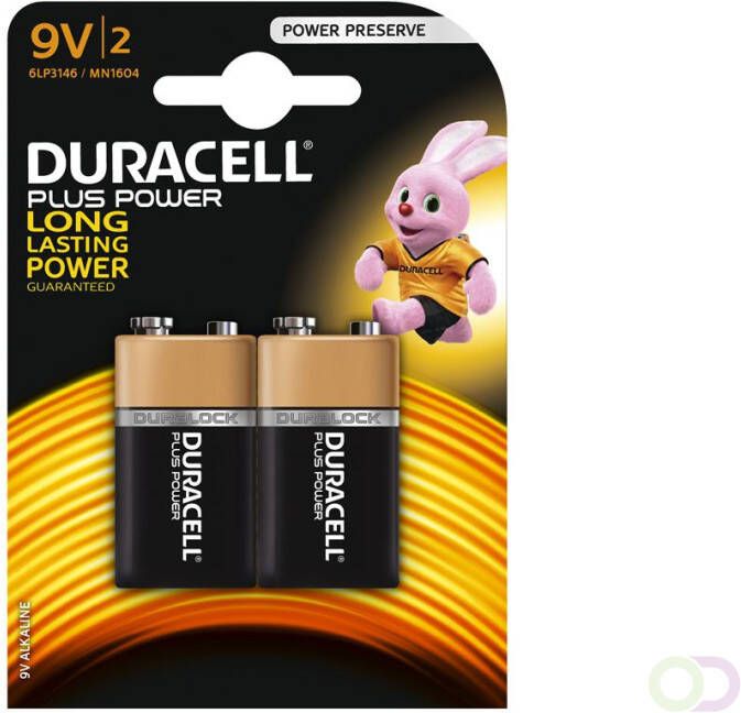 Duracell Plus Power AA