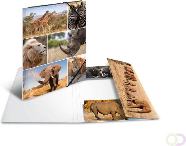 Elastomappen A4 karton afrika dieren