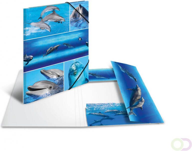 Elastomappen A4 karton dolfijnen