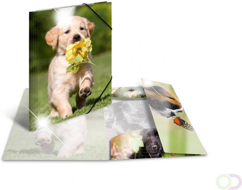 Elastomappen glossy dieren A3 PP honden