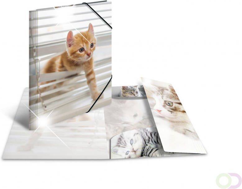 Elastomappen glossy dieren A3 PP katten